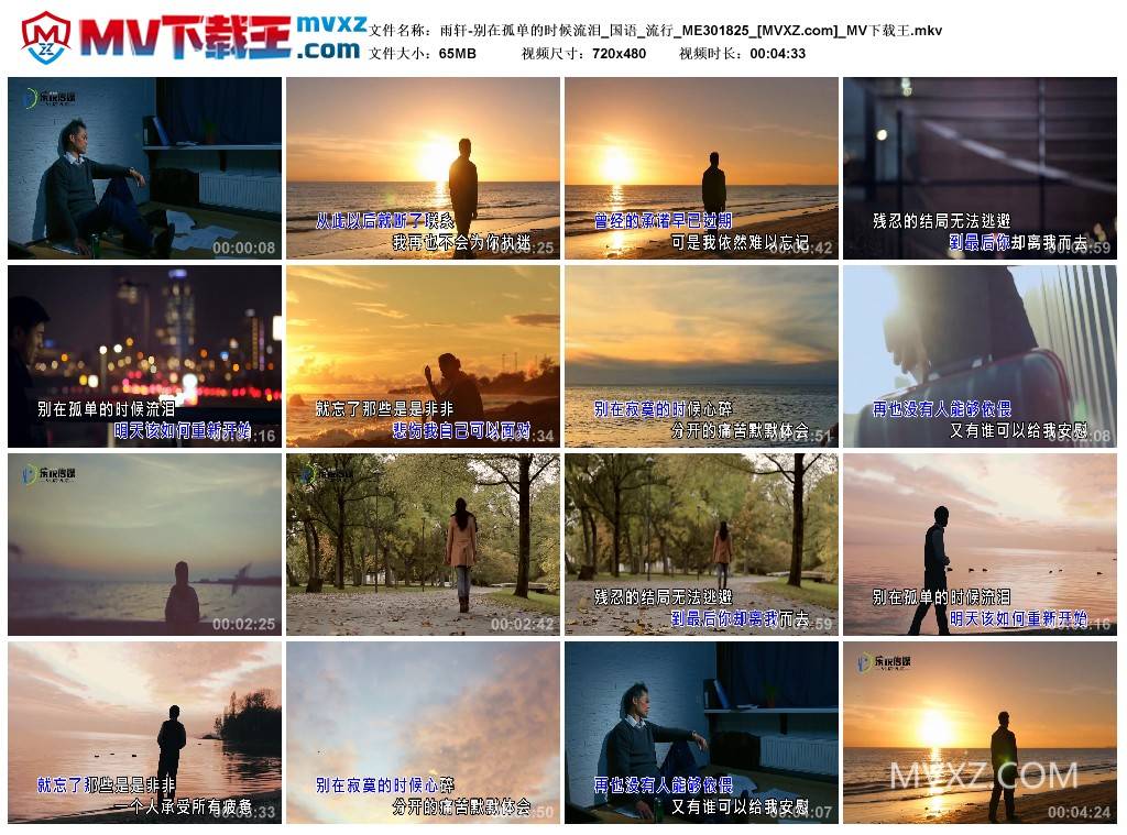 雨轩-别在孤单的时候流泪_国语_流行_ME301825